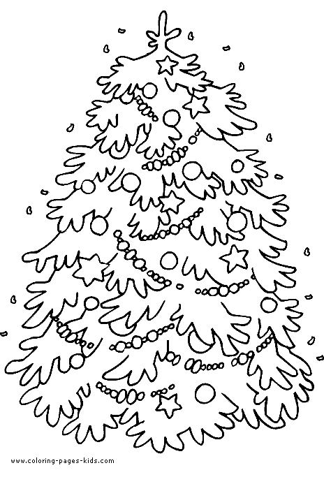 Christmas Tree Sho Pictures Wallpapers